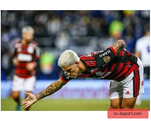 佩德罗加盟弗拉门戈后持续高光表现进球不断